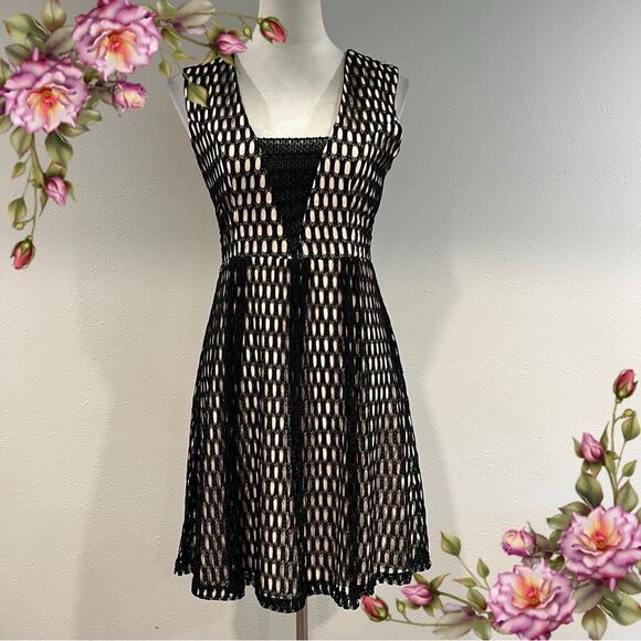 Hagel lace Mesh Sleeveless formal deep v-neck Dress size small - Picture 1 of 15